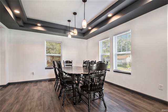 dining space featuring a raised ceiling and dark hardwood / wood-style flooring