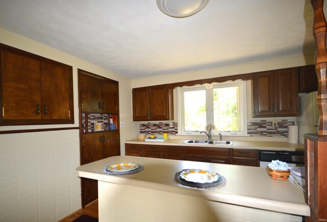 kitchen with sink and dishwasher