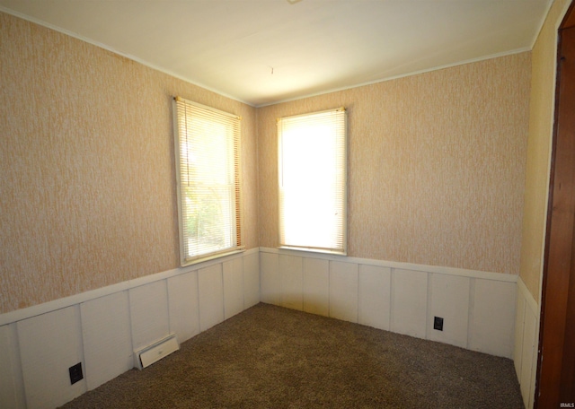 unfurnished room featuring carpet