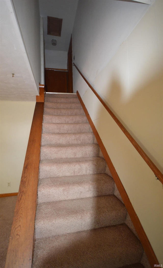 staircase with carpet