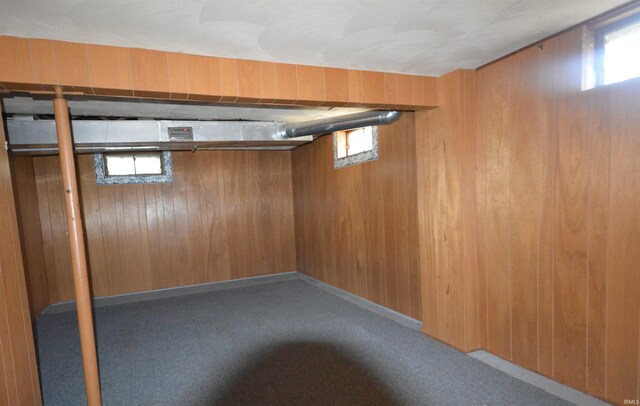 basement featuring wooden walls, carpet floors, and a healthy amount of sunlight