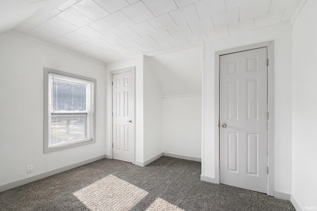 additional living space with carpet and vaulted ceiling