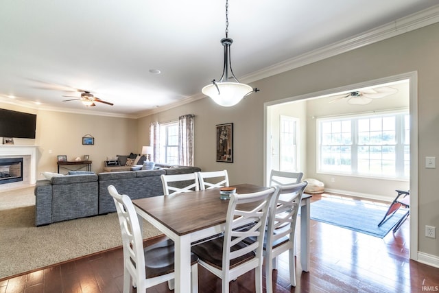 dining space with ceiling fan, dark hardwood / wood-style floors, and ornamental molding