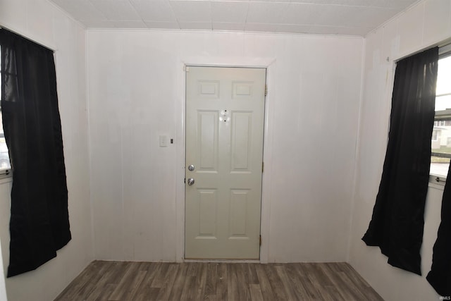 foyer with hardwood / wood-style flooring