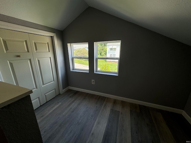 additional living space with lofted ceiling and hardwood / wood-style floors