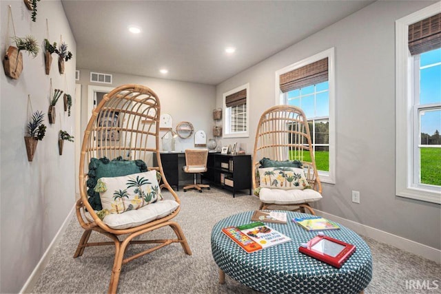 living area featuring carpet flooring