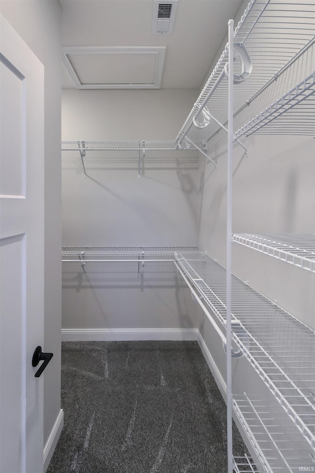 spacious closet featuring carpet flooring