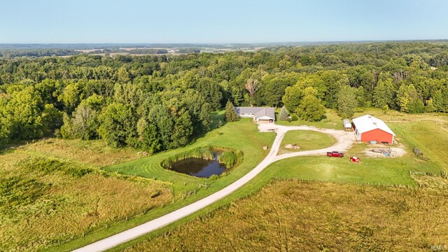 bird's eye view