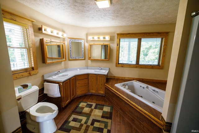 bathroom with a wealth of natural light, a textured ceiling, vanity, and a bathing tub