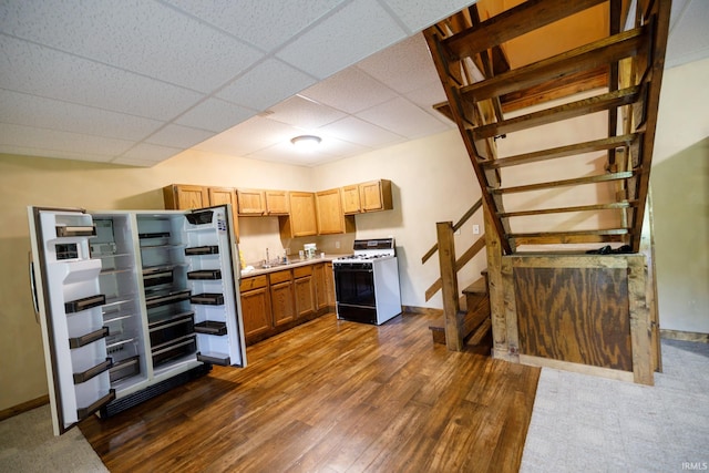 kitchen featuring dark hardwood / wood-style floors, sink, a paneled ceiling, and white gas range oven