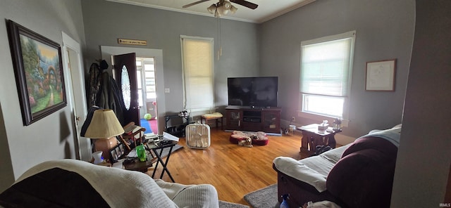 living room with ceiling fan, hardwood / wood-style flooring, and ornamental molding