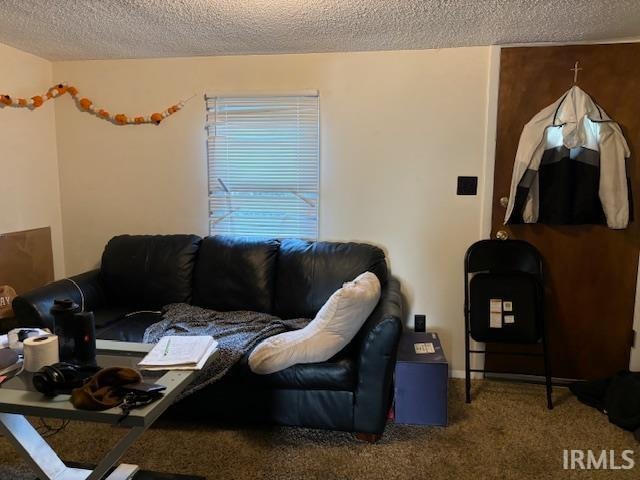 living room featuring a textured ceiling and carpet floors