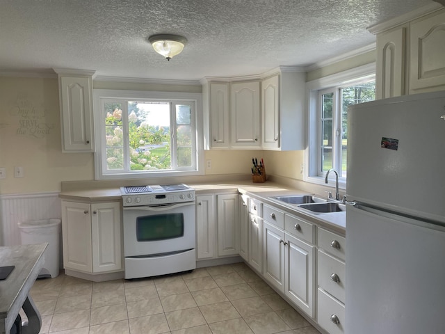 11585 E 565 N, Orland, IN 46776 - kitchen with white appliances, light countertops, a wainscoted wall, and a sink