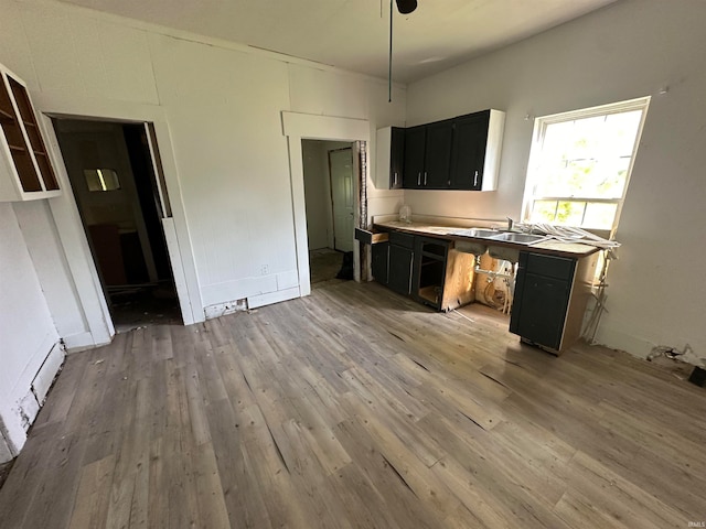 kitchen with hardwood / wood-style flooring and sink