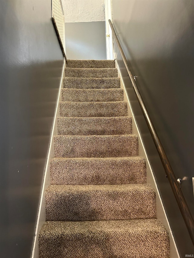 stairway with carpet flooring