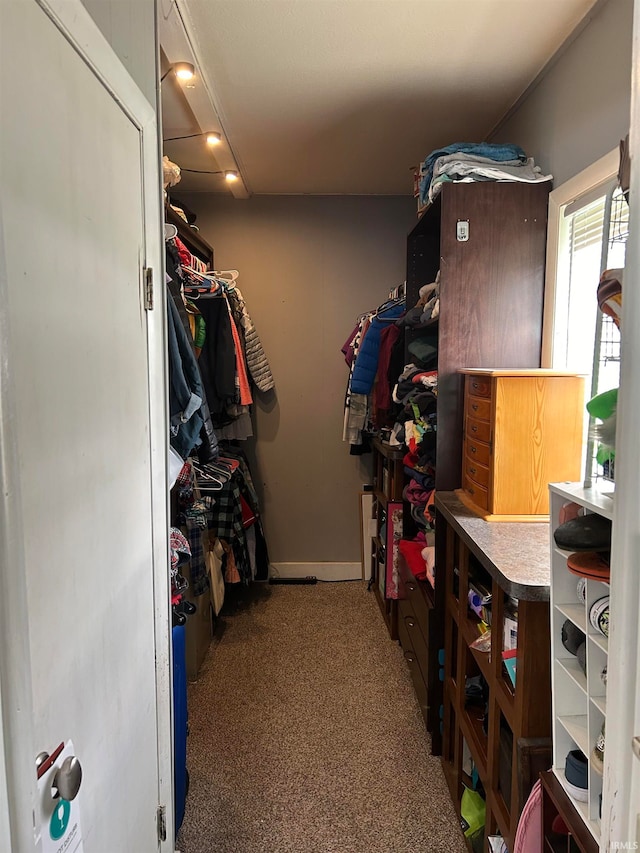 spacious closet featuring carpet floors