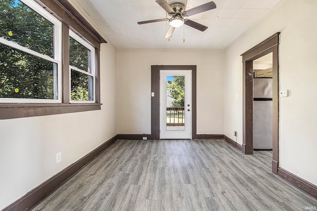 unfurnished room with ceiling fan and light hardwood / wood-style floors