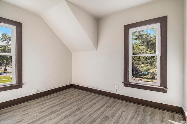 additional living space featuring lofted ceiling, a healthy amount of sunlight, and wood-type flooring