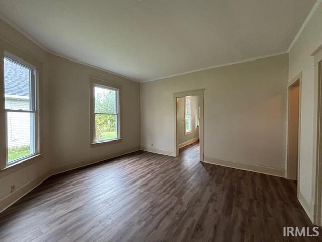 spare room featuring crown molding, plenty of natural light, and dark hardwood / wood-style flooring