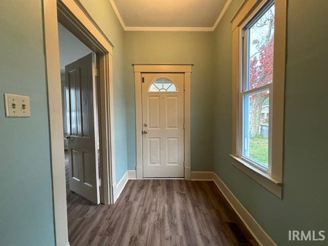 entryway featuring dark wood-type flooring and crown molding