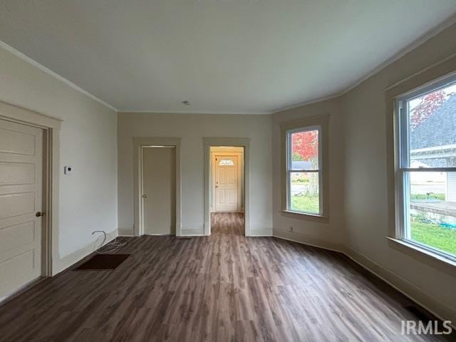 interior space featuring ornamental molding and wood-type flooring