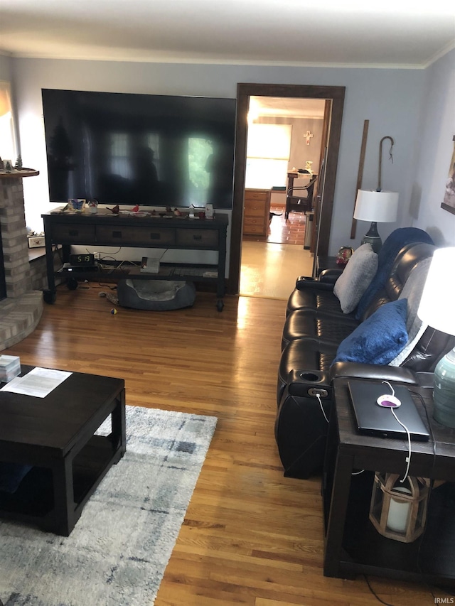 living area featuring crown molding, a fireplace, and wood finished floors