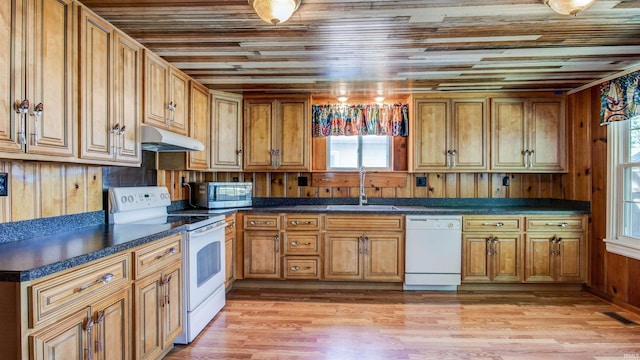 kitchen featuring white appliances, plenty of natural light, light hardwood / wood-style flooring, and sink