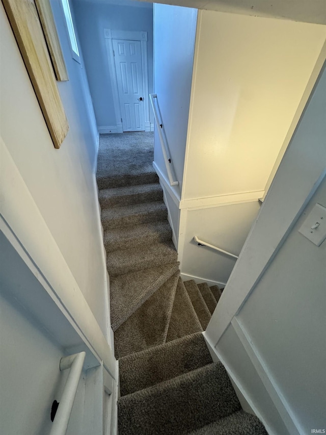 stairway featuring carpet flooring