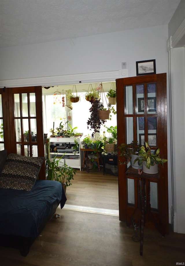 living room featuring french doors