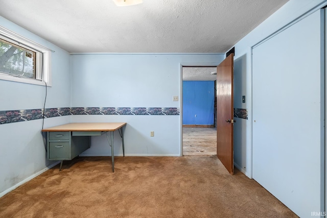 unfurnished office featuring a textured ceiling and carpet flooring