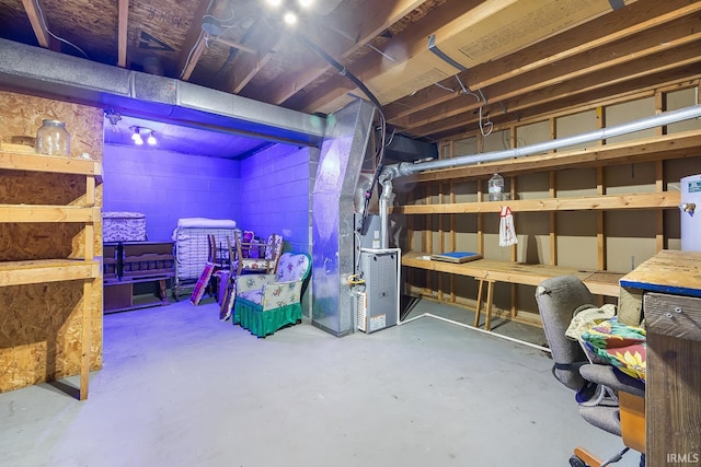 basement featuring heating unit