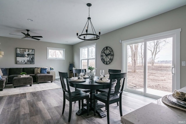 dining space featuring ceiling fan with notable chandelier and wood-type flooring