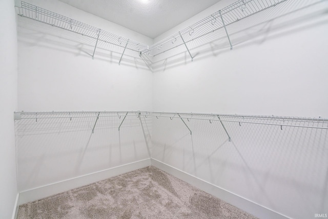 walk in closet with carpet