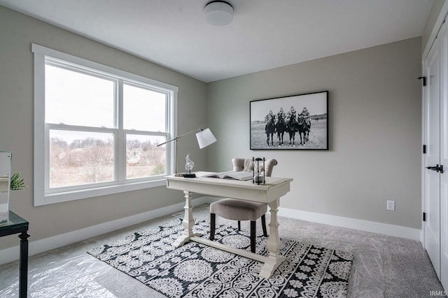 office featuring carpet flooring