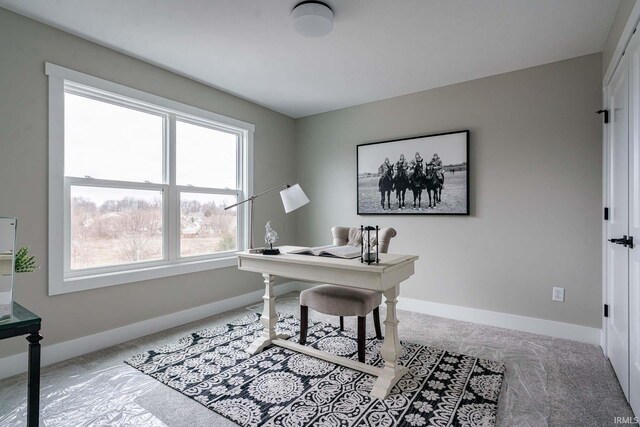 52520 E Trail Trail, South Bend, IN 46628 - office area with carpet and baseboards