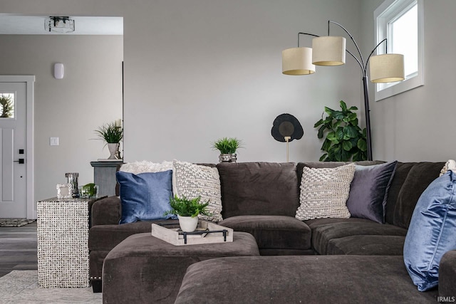 living room featuring wood-type flooring