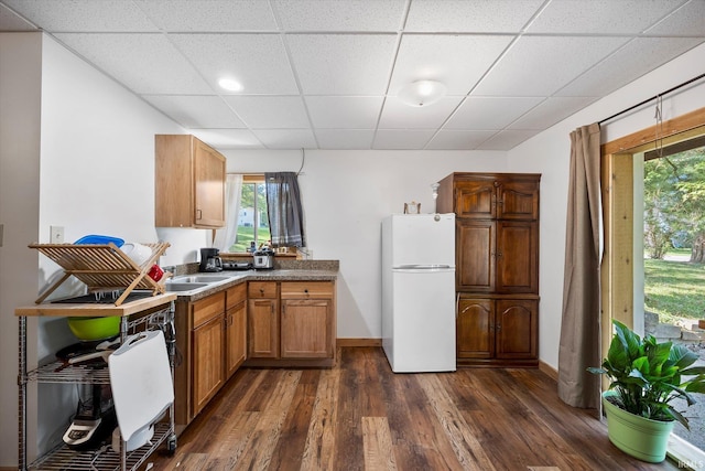 kitchen with a paneled ceiling, dark hardwood / wood-style floors, and sink