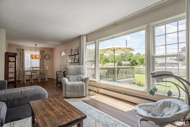 living area featuring wood finished floors