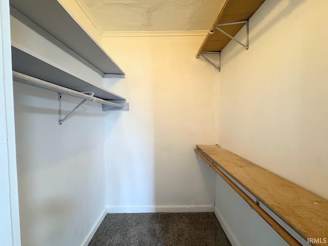 spacious closet featuring dark carpet