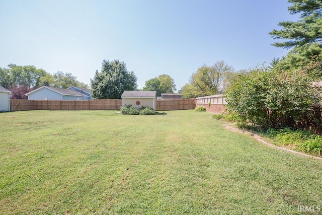 view of yard with a storage shed