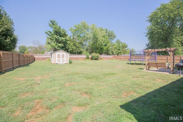 view of yard with a patio area, a storage shed, and a trampoline