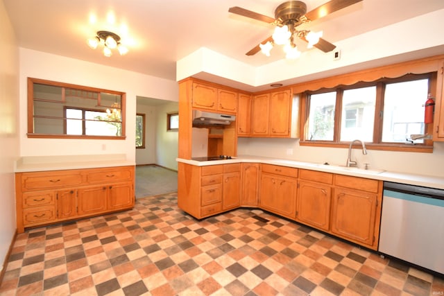 kitchen with dishwasher, sink, ceiling fan, black electric cooktop, and carpet floors