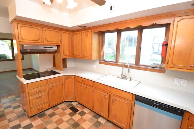 kitchen featuring stainless steel dishwasher, a healthy amount of sunlight, sink, and ceiling fan