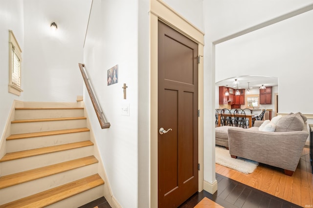 staircase with wood-type flooring