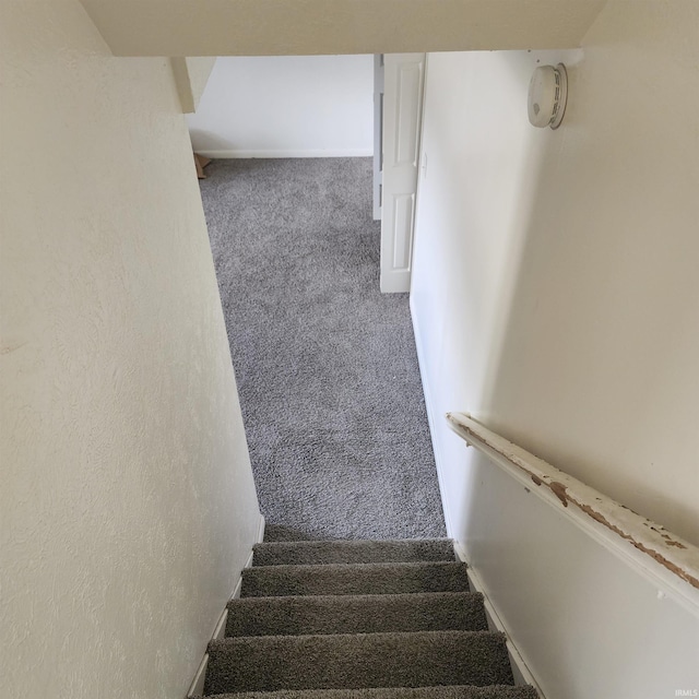 stairway with carpet floors