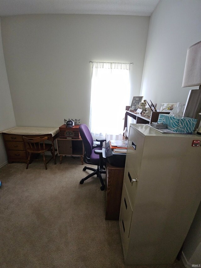 office area featuring carpet floors