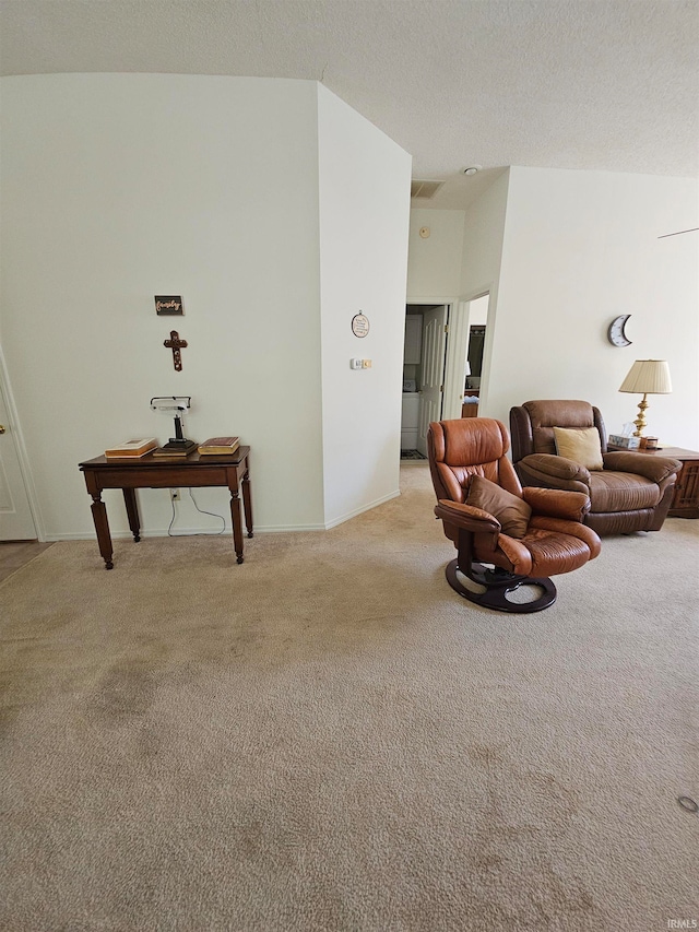 carpeted living room featuring a textured ceiling