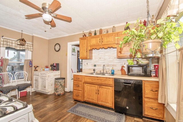 kitchen with dark hardwood / wood-style flooring, dishwasher, ornamental molding, sink, and ceiling fan