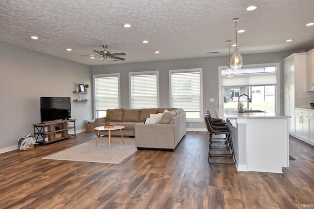 living room with a textured ceiling, a wealth of natural light, dark wood-type flooring, and sink