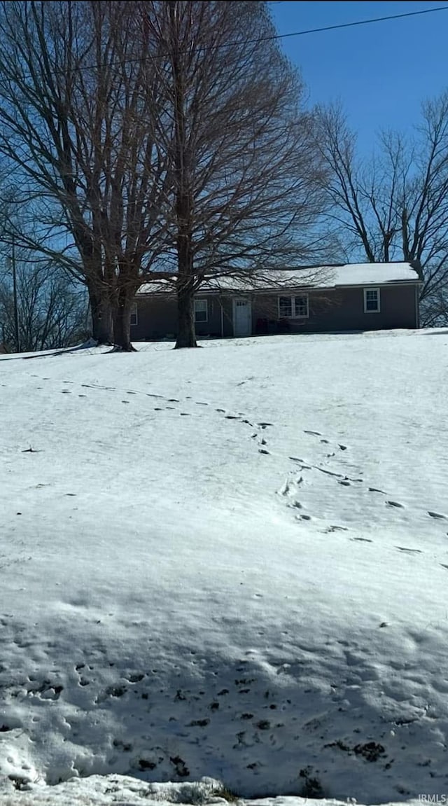 view of yard layered in snow